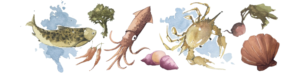 Desenho em aquarela de lula, caranguejo e vegetais, representando os ingredientes típicos da culinária de Paraty.