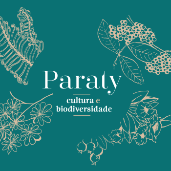 Logo de patrimônio histórico aplicado no projeto Alquimia da Culinária Paraty